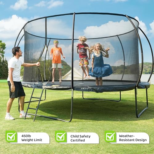 Gigu 10FT 12FT 14FT Recreational Trampolines for Kids and Adults Outdoor with Enclosure Net and Ladder ASTMEM Approved A