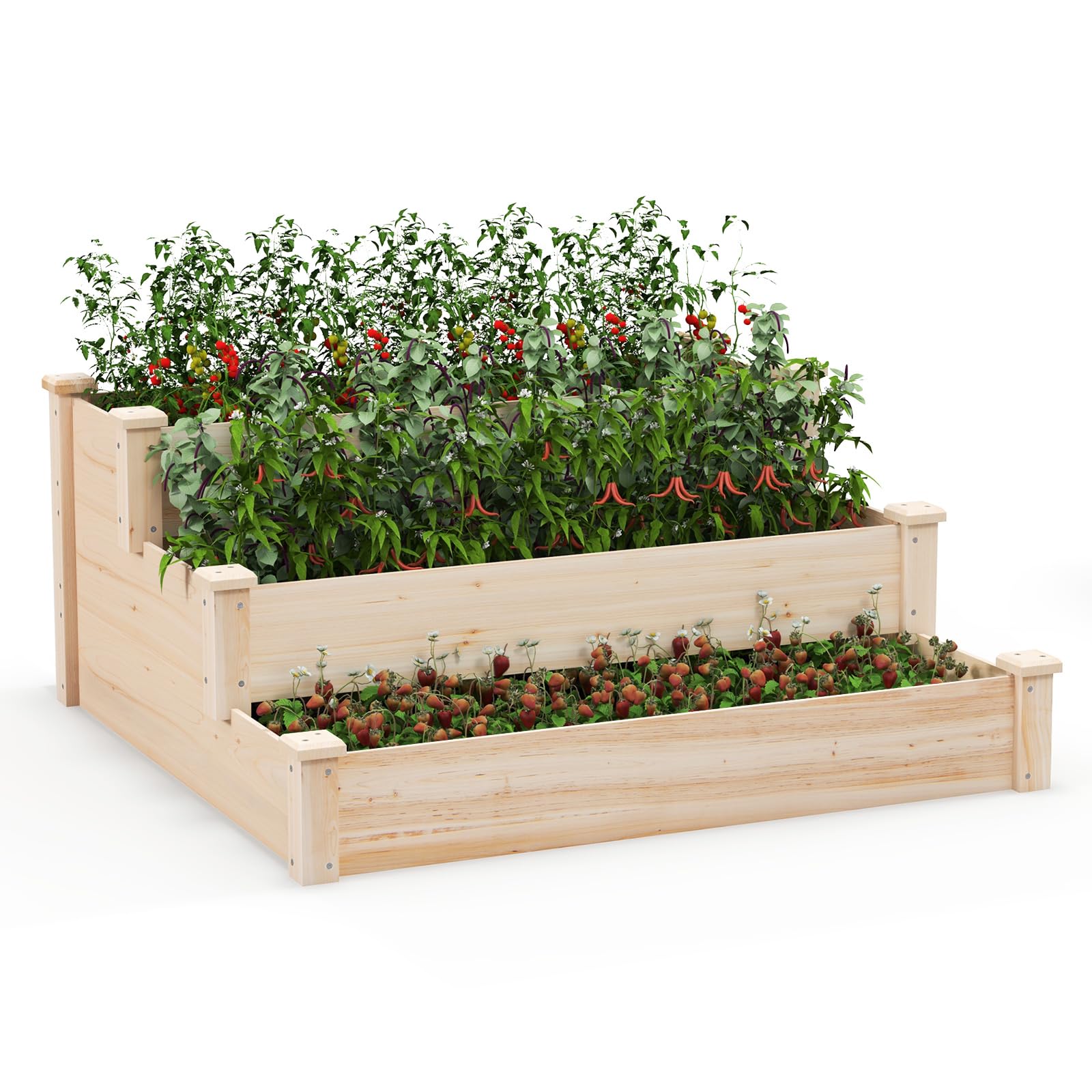 Giantex 3-Tier Raised Garden Bed for Patio Gardening
| Giantex Fir Wood Elevated Raised Beds for Vegetable Gardening
|